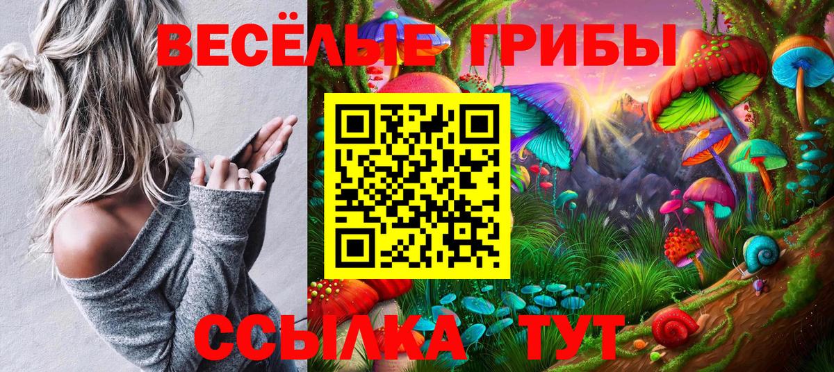 Псилоцибиновые грибы Cubensis Десногорск